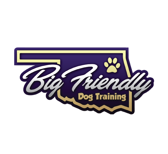 Big Friendly Dog Training