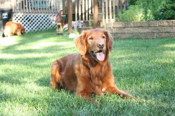 hybrid in-home training hybrid in-home training