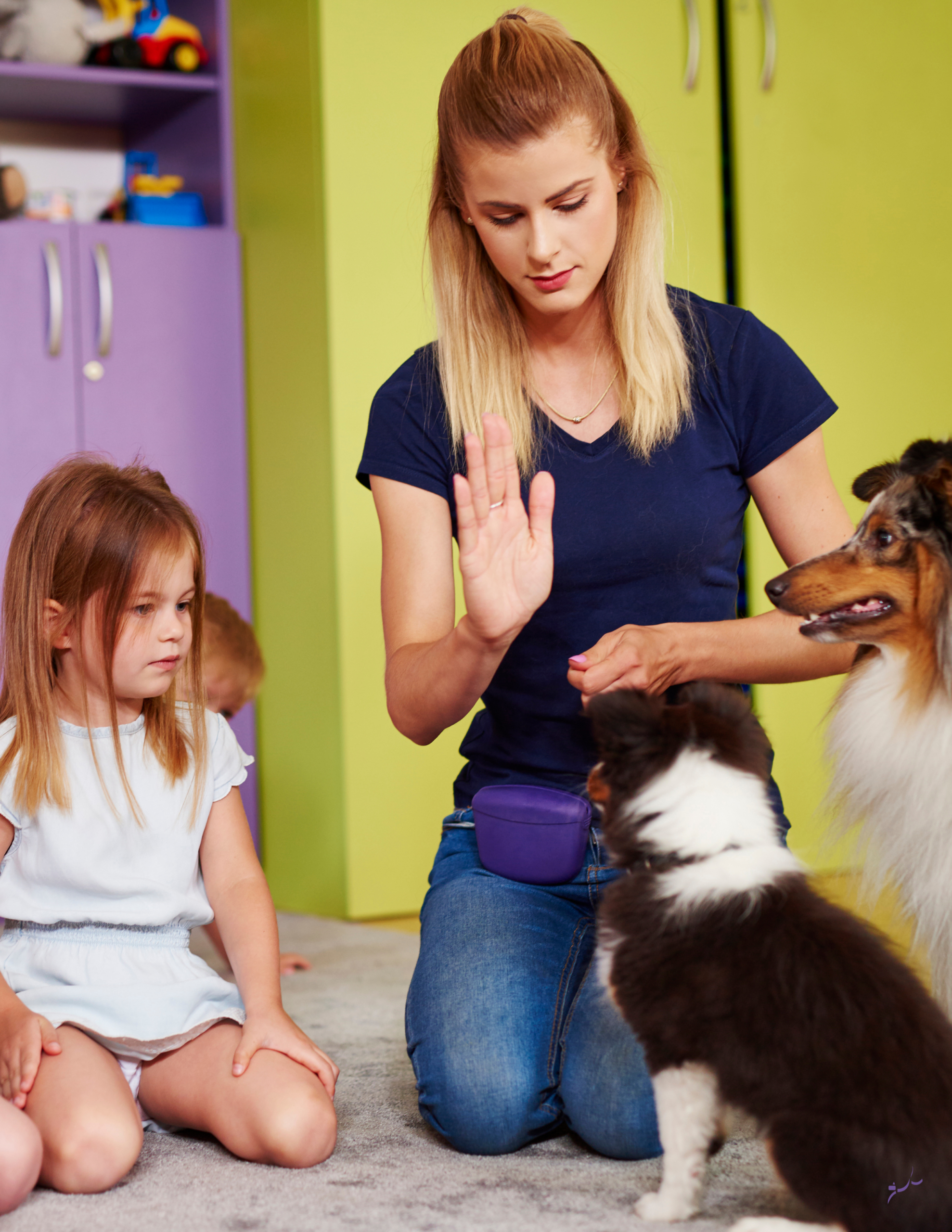 therapy dog training for schools